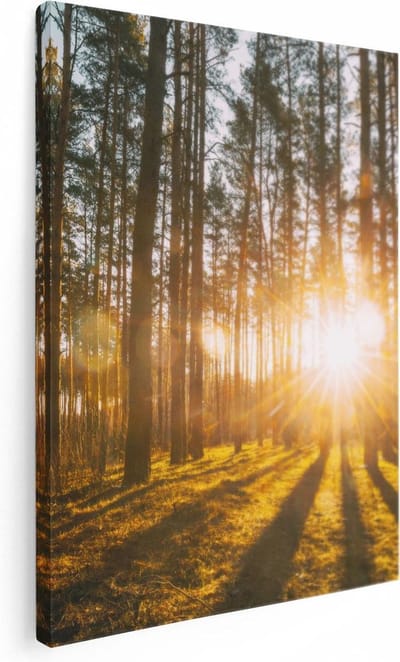 Artaza Canvas Schilderij Bos - 60x80 cm - Wanddecoratie Zonsondergang - Muurdecoratie Bomen - Schilderijen Op Canvas Natuur