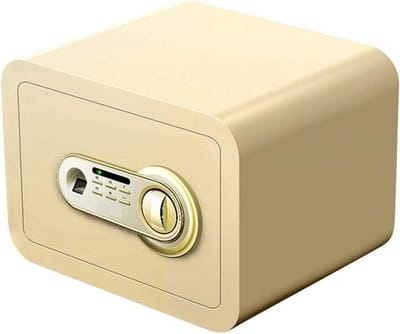 Stalen Kluis - Veilig Opbergen - Waardevolle Spullen - Vingerafdruk Scanner - Lichtgewicht - Goud