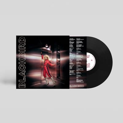 Blackbird - Do You Read Me!? (LP)