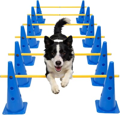 Honden Behendigheidset - Hondentraining Speelgoed - Hond Oefenen - Draagbaar en Verstelbaar - 38 cm Hoogte - Blauw