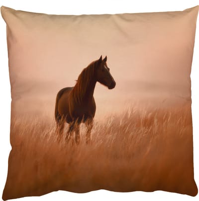 Sierkussens - Kussentjes Woonkamer - 50x50 cm - Paard - Grasveld - Zonsondergang