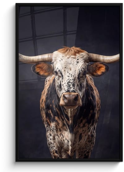 Poster in lijst - Fotolijst 80x120 cm - Posters - Stier - Kleurrijk - Hoorns - Posterlijst zwart - Decoratie - Wanddecoratie woonkamer - Muurdecoratie slaapkamer