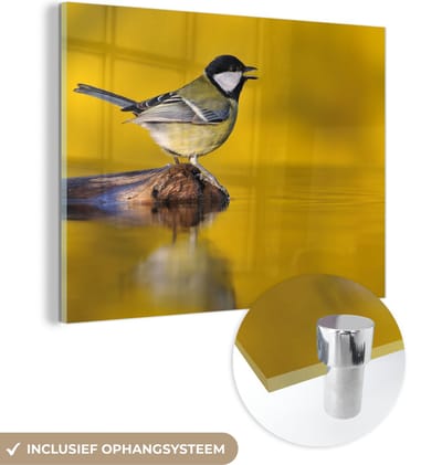 MuchoWow® Glasschilderij 40x30 cm - Schilderij acrylglas - Koolmees - Vogel - Water - Foto op glas - Schilderijen