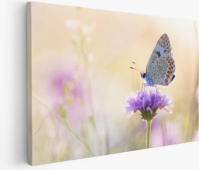 Saammp Muurcirkel Hout - Abstracte Roos met Druppels - Bloemen - Abstract - Ø 90 - Wandcirkel - Wanddecoratie Cirkel - Muurdecoratie Woonkamer - Kantoor Decoratie