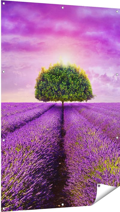 Gards Tuinposter Groene Boom in de Lavendel Bloemen - 100x150 cm - Tuindoek - Tuindecoratie - Wanddecoratie buiten - Tuinschilderij