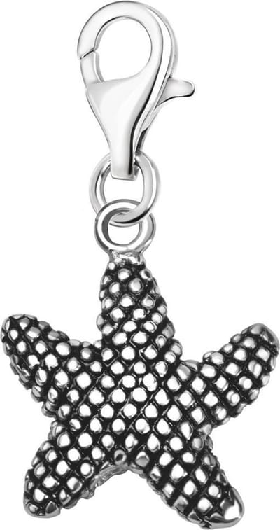 Quiges – 925 - Zilver – Charm - Bedel - Hanger - 3D Zeester - met – sterling - zilver - karabijnslot - geschikt - voor -Bedelarmband HC018