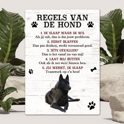 Spreuken - Noorse Elandhond - Regels Van De Hond - Spreuken Bordjes - Spreukenbord - Tekstborden - Cadeau - Hondenras