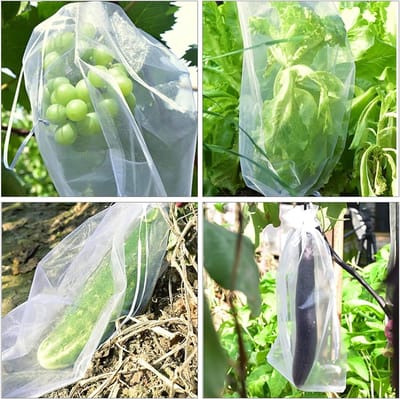 Fruitbeschermzakjes - Netjes voor fruit - Oogst beschermen - Ademend materiaal - 100 stuks - Paars