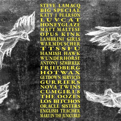 Various Artists - A Hideous Collective (CD)