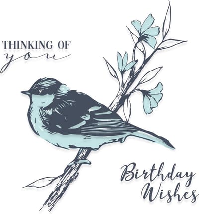 Sizzix Layered Clear Stamps Summer Bird 4stuks
