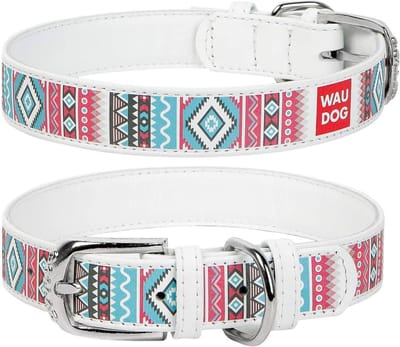 WAUDOG Ethno Halsband / Hondenhalsband - Echt Leder - Wit - Full Colour Print - Breedte: 15 mm - Nekomtrek: 27 - 36 cm (GELIEVE ALVORENS BESTELLEN OPMETEN)