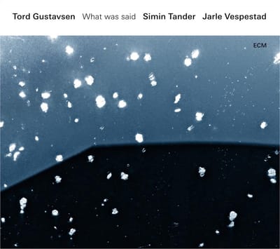 Tord Gustavsen, Simin Tander, Jarle Vespestad - What Was Said (2 LP)