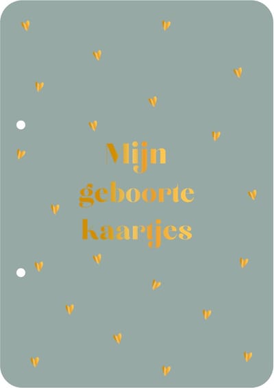 Bewaarbundel Mijn geboortekaartjes - blauw - geboortekaarten bewaarbundel - met goudfolie - A5 formaat