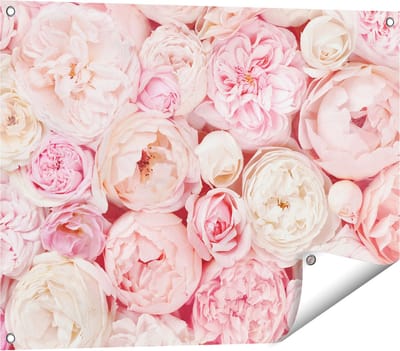 Gards Tuinposter Witte Roze Rozen Boeket - Bloemen - 80x60 cm - Tuindoek - Tuindecoratie - Wanddecoratie buiten - Tuinschilderij