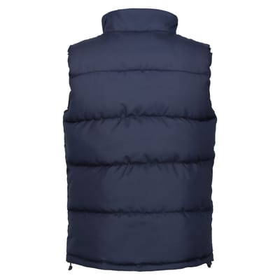 Regatta Heren Northdale Geïsoleerd Gilet (Marine)