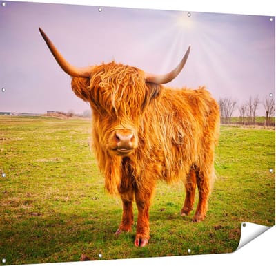 Gards Tuinposter Bruine Schotse Hooglander Koe - Kleur - 150x120 cm - Tuindoek - Tuindecoratie - Wanddecoratie buiten - Tuinschilderij