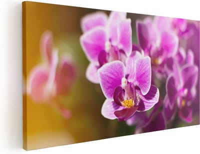 Artaza Canvas Schilderij Orchidee - 40x20 cm - Klein - Wanddecoratie Bloemen - Muurdecoratie Woonkamer - Schilderijen Op Canvas