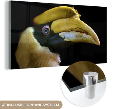 MuchoWow® Glasschilderij 40x20 cm - Schilderij acrylglas - Vogel - Snavel - Zwart - Foto op glas - Schilderijen