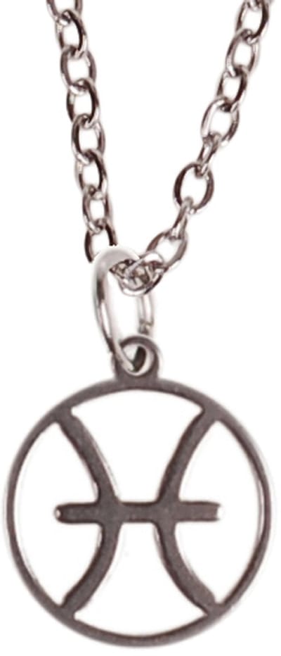 Kinderketting Zilverkleurig 45cm - Hangertje Sterrenbeeld RVS - Vissen