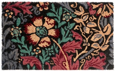 ILLIAMNA - Deurmat - Meerkleurig - 45 x 75 cm - Kokos