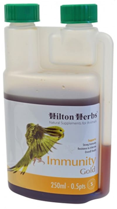 Hilton Herbs Immunity Gold for Birds - 500 ml