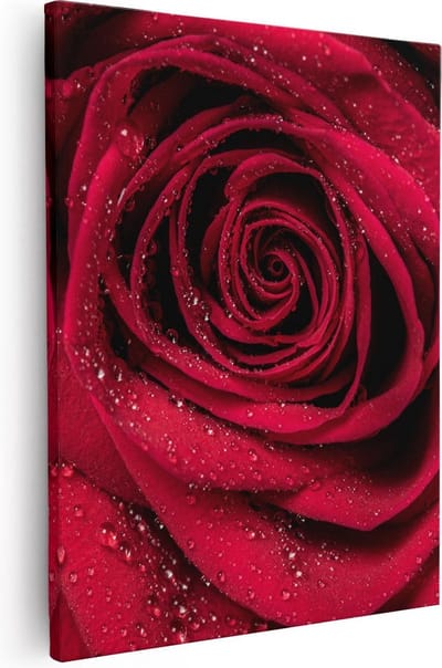 Artaza Canvas Schilderij Roos Close-Up - 40x50 cm - Wanddecoratie Bloem - Muurdecoratie Woonkamer - Kamer Accessoires