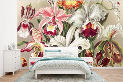Behang - Fotobehang Bloemen - Ernst Haeckel - Vintage - Orchidee - Breedte 400 cm x hoogte 300 cm
