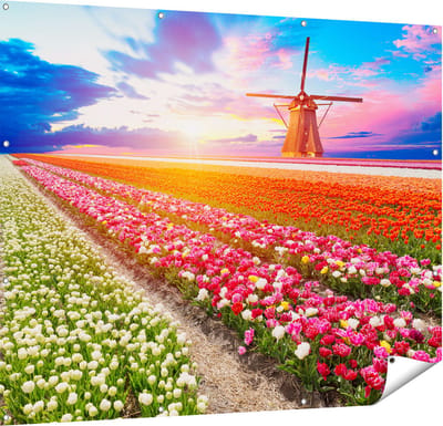 Gards Tuinposter Kleurrijke Bloemenveld met een Windmolen - 150x120 cm - Tuindoek - Tuindecoratie - Wanddecoratie buiten - Tuinschilderij