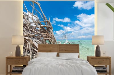 Behang - Fotobehang Strand - Takken - Tropisch - Zee - Breedte 240 cm x hoogte 240 cm
