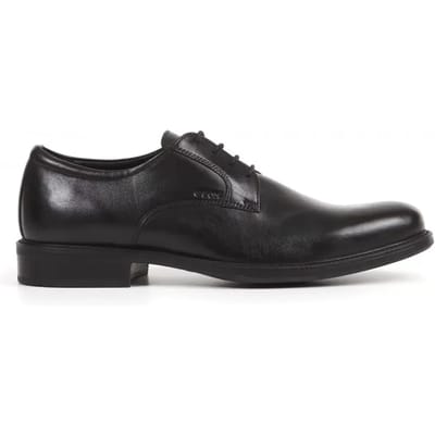 Derbie Geox Carnaby Smooth Leather