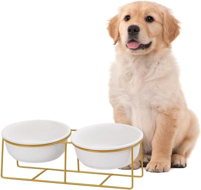 Hondenvoer- en waterbak, gekantelde verhoogde hondenbak met metalen standaard, dubbele keramische hondenbakset, verhoogde kattenvoerbak, anti-braaksel, huisdierenschotel voor kleine tot middelgrote