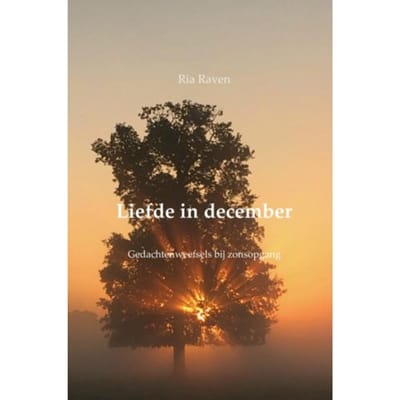 Liefde In December - Ria Raven