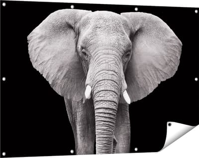 Gards Tuinposter Olifant - Zwart Wit - 120x80 cm - Tuindoek - Tuindecoratie - Wanddecoratie buiten - Tuinschilderij