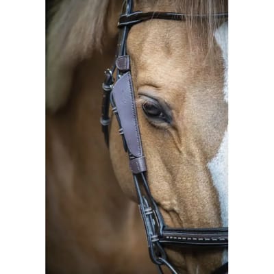 Knipperlichten voor paarden Pénélope Blinkers