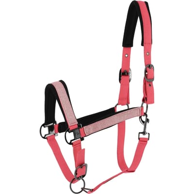 Halster voor paarden Equithème Glowy