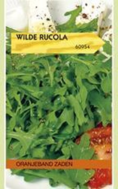 Wilde Rucola Diplotaxis
