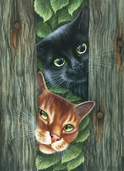 Mona Lisa diamond painting compleet pakket 40x30cm: katten spelen kiekeboe