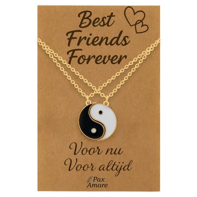 BFF Ketting voor 2 'Best Friends Forever' - Magnetische Yin Yang - Vriendschapsketting op Cadeau Kaartje - 45cm + 5cm verstelbaar - Goudkleurig - Best Friends Hanger - Pax Amare
