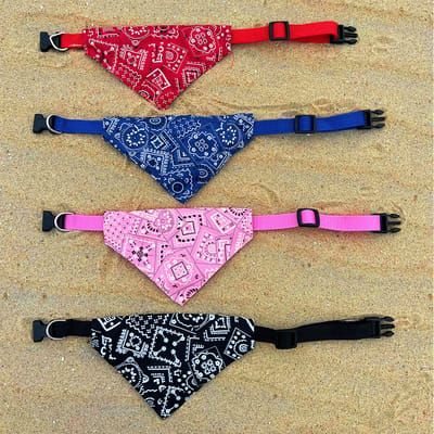 Honden Bandana halsband - Sjaal en Halsband in één - voor Groot en Kleine honden - Zwart - Dog Bandana Collar - Scarf and Collar in one - For Big and Small Dogs - Black