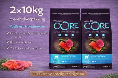 Wellness Core Grain Free Dog Ocean Zalm&Tonijn - Hondenvoer - 2x 10 kilo = 20 kilo