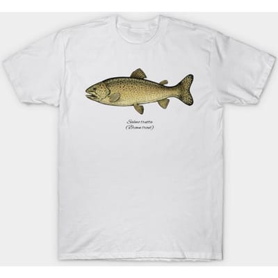 T-shirt Dames Salmo Trutta Harajuku Print Kawaii T-shirt Zomer Korte Mouw Dames T-shirt Top Tee 4XL