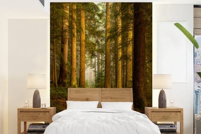 Behang - Fotobehang Bos - Natuur - Bomen - Landschap - Bladeren - Breedte 205 cm x hoogte 280 cm