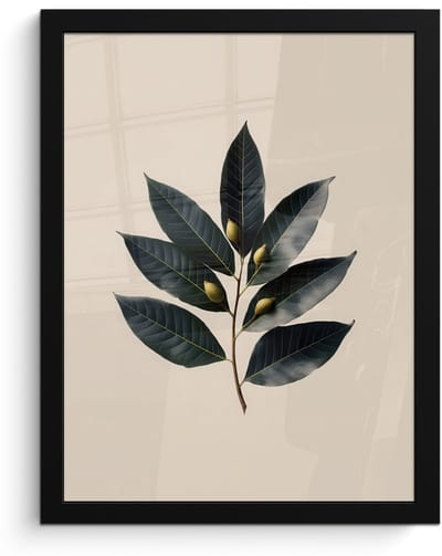 Poster in lijst - Fotolijst 30x40 cm - Posters - Laurierbladeren - Bloemknoppen - subtiel - Posterlijst zwart - Decoratie - Wanddecoratie woonkamer - Muurdecoratie slaapkamer