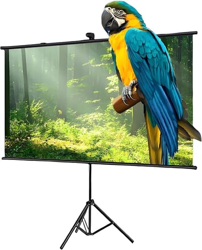 Projectiescherm met Statief - Filmscherm Uittrekbaar - Thuisbioscoop Creëren - 4K HD Beeldkwaliteit - 60 inch - Zwart