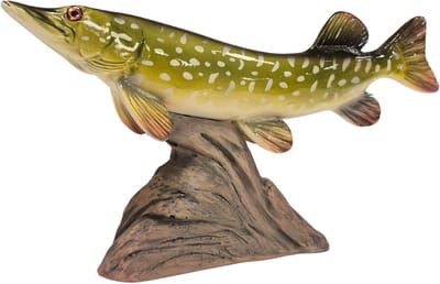 3D Real Fish Trophy Snoek 30 cm Levensecht Beeld Snoekbeeld Trofee Visbeker Sokkel Groen Natuurlijk