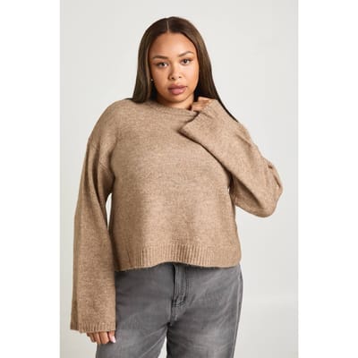boohoo Dames PLUS RONDE HALS TRUI | Hazelnut | Maat: 16