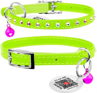 WAUDOG Glamour Star Kattenhalsband - Echt Leder - Groen - Gratis QR-tag - XXS - Breedte: 9 mm - Nekomtrek: 22 - 30 cm (GELIEVE ALVORENS BESTELLEN OPMETEN)