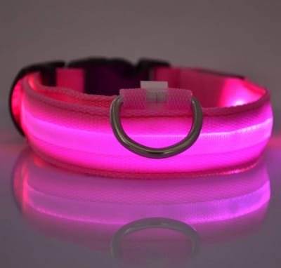 Halsband led verlichting - Roze - Maat S - Halsband hond led verlichting - Hondenhalsband verlichting led - Lichtgevende hondenhalsband