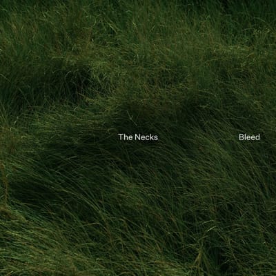 Bleed - Necks
