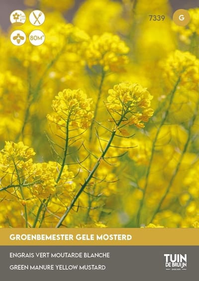 Tuin de Bruijn® zaden - Groenbemester Gele mosterd - 80 gram - veelzijdige plant - genoeg voor 80m2 - VOORDELIGE KEUZE